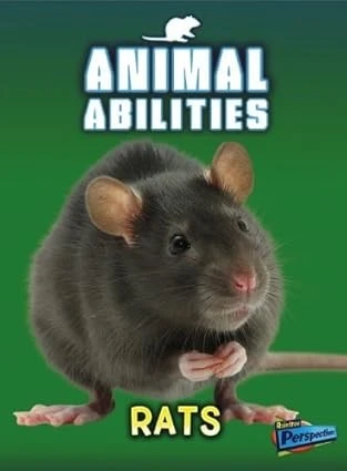 Rats (Animal Abilities)